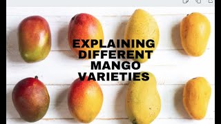 Explaining Different Mango Varieties [upl. by Atinaw]