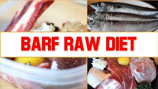 Easy Homemade DIY BARF Raw Food Diet for Your Dog [upl. by Ettenel]