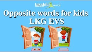 LKG EVS Online Classes  Worksheet  NCERT Solutions  CBSE  Online School Classes [upl. by Roe]