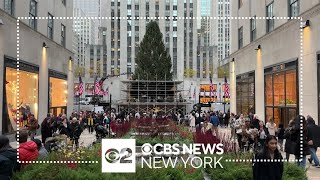 2023 Rockefeller Center Christmas tree arrives in NYC [upl. by Nac]