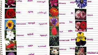 Learn Flowers Names in Hindi English amp Malayalam with Pictures  फूलों के नाम  പുഷ്പങ്ങളുടെ പേര് [upl. by Nnire]