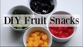 DIY Homemade Natural Fruit Snacks  Gummies  4 Recipes ♡ NaturallyThriftyMom [upl. by Alleinnad]