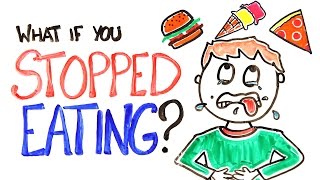 What If You Stopped Eating [upl. by Gelasias]