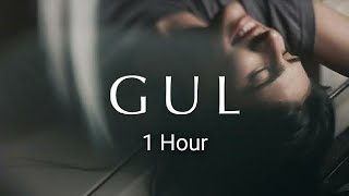 GUL  Anuv Jain  1 Hour Loop   Therapy to Reduce Stress Anxiety amp Depression [upl. by Wappes]