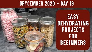 EASY DEHYDRATING PROJECTS FOR BEGINNERS Learn to Dehydrate with Easy Recipes  DRYCEMBER [upl. by Kuehnel101]