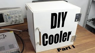 DIY Cooler Part 1  Peltier Module [upl. by Elcarim]