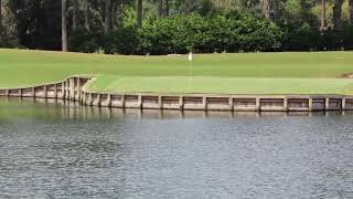 TPC Sawgrass 17th Hole [upl. by Emse180]