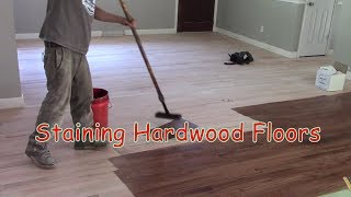 Staining Hardwood Floors [upl. by Linet]