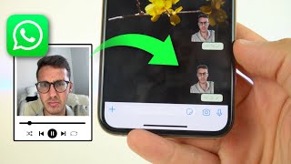 Crear STICKERS ANIMADOS en WhatsApp fácil y sin fondo ✅ [upl. by Kent]