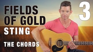 quotFields of Goldquot Guitar Lesson Part 3  The Chords [upl. by Hardman]