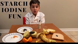 Starch Iodine Fun Experiment [upl. by Asihtal]