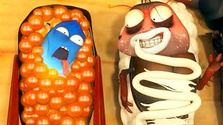 LARVA  SUSHI LARVA  2019 Cartoon  Cartoons For Children  WildBrain Cartoons [upl. by Mloc118]