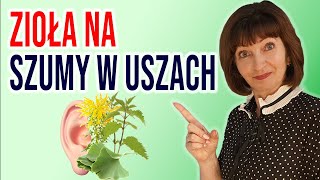 🍀ZIOŁA LECZNICZE na SZUMY USZNE I ZAWROTY GŁOWY [upl. by Ivo68]