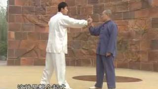 Yang Tai Chi combat tutorial [upl. by Norret]