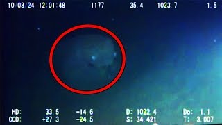 12 Mysterious Underwater Creatures Caught on Tape [upl. by Aetnuahs]