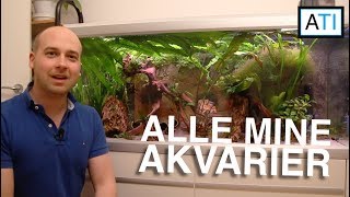 Akvarietur  Alle mine akvarier [upl. by Delly948]