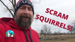 Squirrel Deterrents What Really Works [upl. by Eetsud]