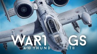 A10 Thunderbolt II  quotThe Warthogsquot [upl. by Yrhcaz406]