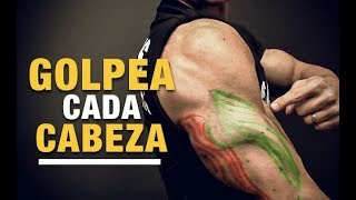 Ejercicios para Cada Cabeza del Tríceps ¡TRABAJA TODAS [upl. by Suilienroc]