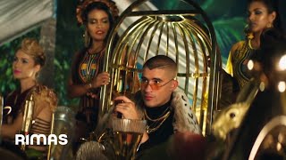 BAD BUNNY  NI BIEN NI MAL  X100PRE Video Oficial [upl. by Lindsey876]