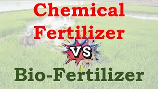 Difference between chemical fertlizer amp biofertilizer  Biofertilizer vs chemical fertilizer [upl. by Uke742]