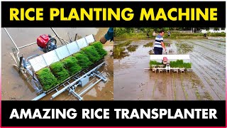 Rice Planting Machine  Paddy Transplanter Machine [upl. by Aihsitan]