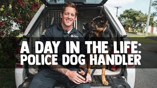 A Day in the Life Police Dog Handler [upl. by Sulakcin]