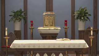 Notre Dame Catholic Church Live Stream [upl. by Nygem]