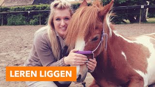 Leren liggen vrijheidsdressuur  PaardenpraatTV [upl. by Bishop354]