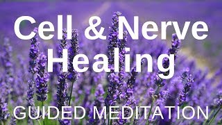 Guided HEAL Meditation  Cell and Nerve Healing Self Healing Meditation [upl. by Quick]