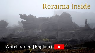 RORAIMA INSIDE  A trip to the oldest and most mysterious Mountain in the world [upl. by Amol398]