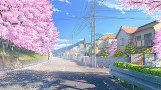 cherry blossom lofi  jazzhop  chill mix [upl. by Hodess]