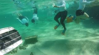 Year 12 Outdoor Education Camp to Rottnest Island [upl. by Iclek504]