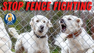 Barrier Frustration Help for Fence Fighting Leash Reactivity and Window Guarding 88 [upl. by Phillane957]