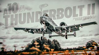 A10 Thunderbolt II in Action [upl. by Akenehs]