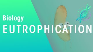 What Is Eutrophication  Agriculture  Biology  FuseSchool [upl. by Eellehs]