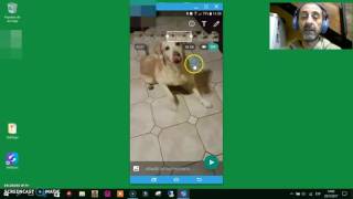 Hacer un Gif con Whatsapp  Paso a paso [upl. by Sewellyn]