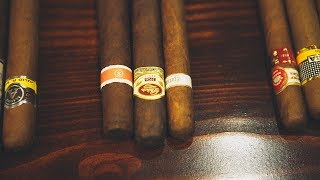 Understanding Cigars [upl. by Arraic]