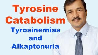 Tyrosine Metabolism Review [upl. by Peterson217]