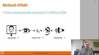 K06 1 5 Sensorische Integration [upl. by Eelhsa]