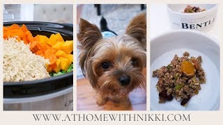 HOMEMADE SLOW COOKER DOG FOOD RECIPE [upl. by Bum804]