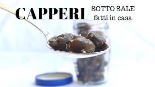 COME FARE I CAPPERI SOTTO SALE Facilissimo  RICETTE DI GABRI [upl. by Barbur]