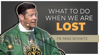 Fr Mike Schmitz  Saturday Homily What To Do When We Are Lost  Steubenville Youth Conference [upl. by Eniarol]