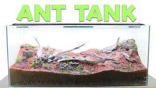 How to Build an Ant Farm  Natural Formicarium [upl. by Aylat]