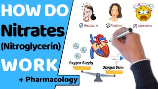 How Do Nitrates Work Nitroglycerin [upl. by Mchugh]