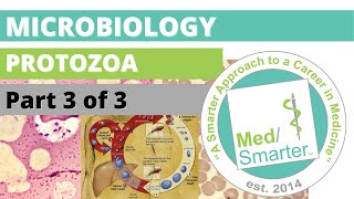 Protozoa  Microbiology  USMLE STEP 1  Part 3 of 3 [upl. by Mahoney287]