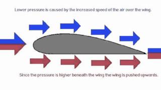 Bernoullis Principle [upl. by Tsirhc109]