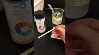 Lactase Enzyme Lactaid Dairy Relief Lab Part 1 [upl. by Anyehs]