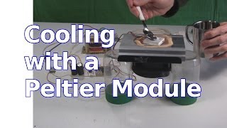 Peltier Module Cooling  The Peltier Effect [upl. by Angell]