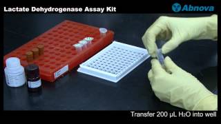 Lactate Dehydrogenase Assay Kit [upl. by Cloris]